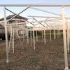 High Strength Solar Agricultural Mounting System