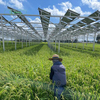Kseng Aluminum Solar Farm Mounting System