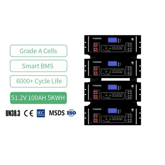 51.2V 6000 Cycle Energy Storage Battery Home 48V Lifepo4 Lithium lon Batteries