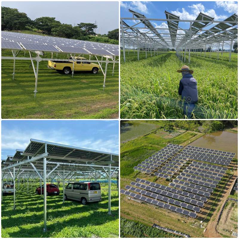 solar farm mounting